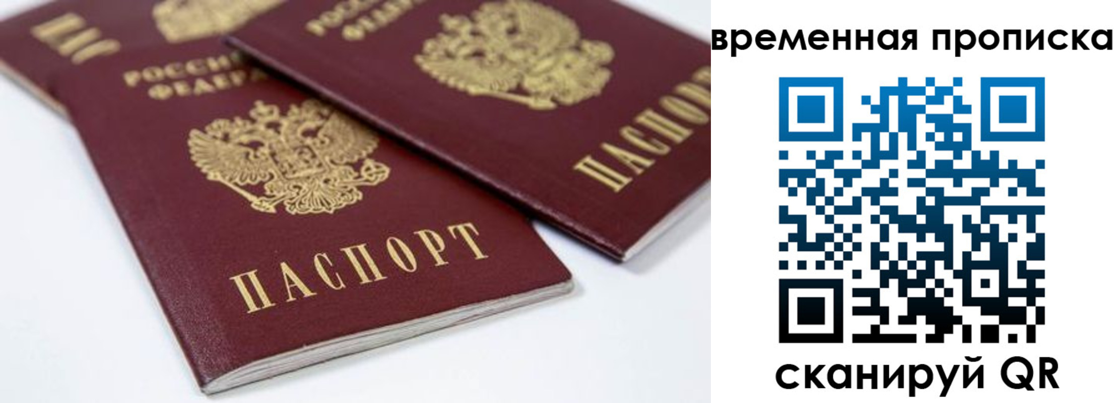 прописка для школы в Киреевске